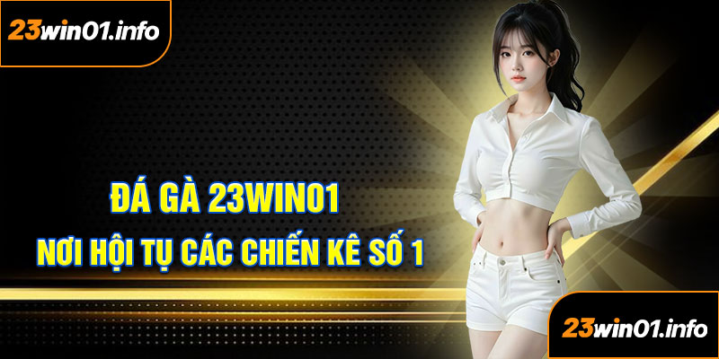 Đá Gà 23win01